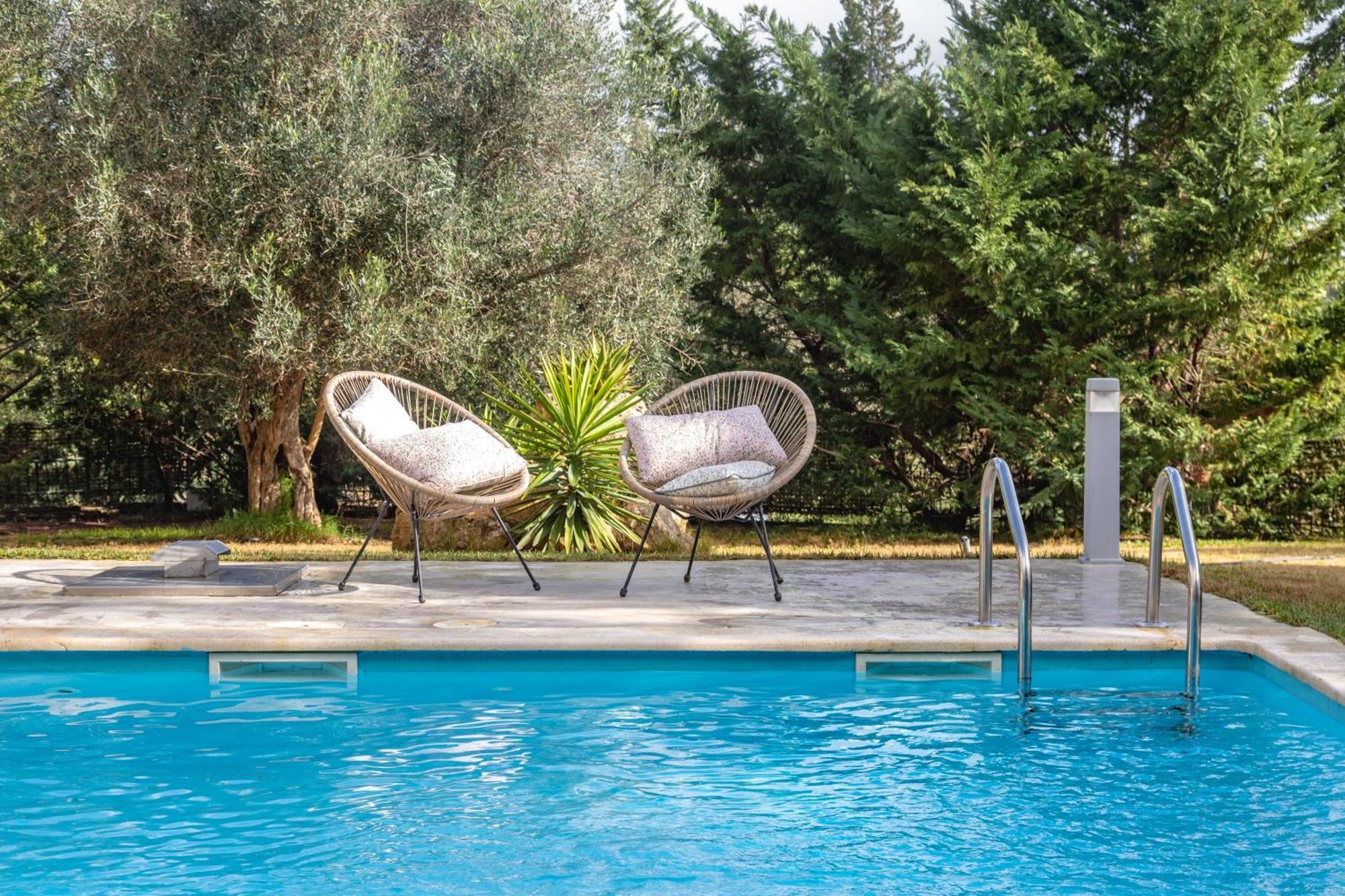 Eleonas Luxury Homes Gardeládes エクステリア 写真