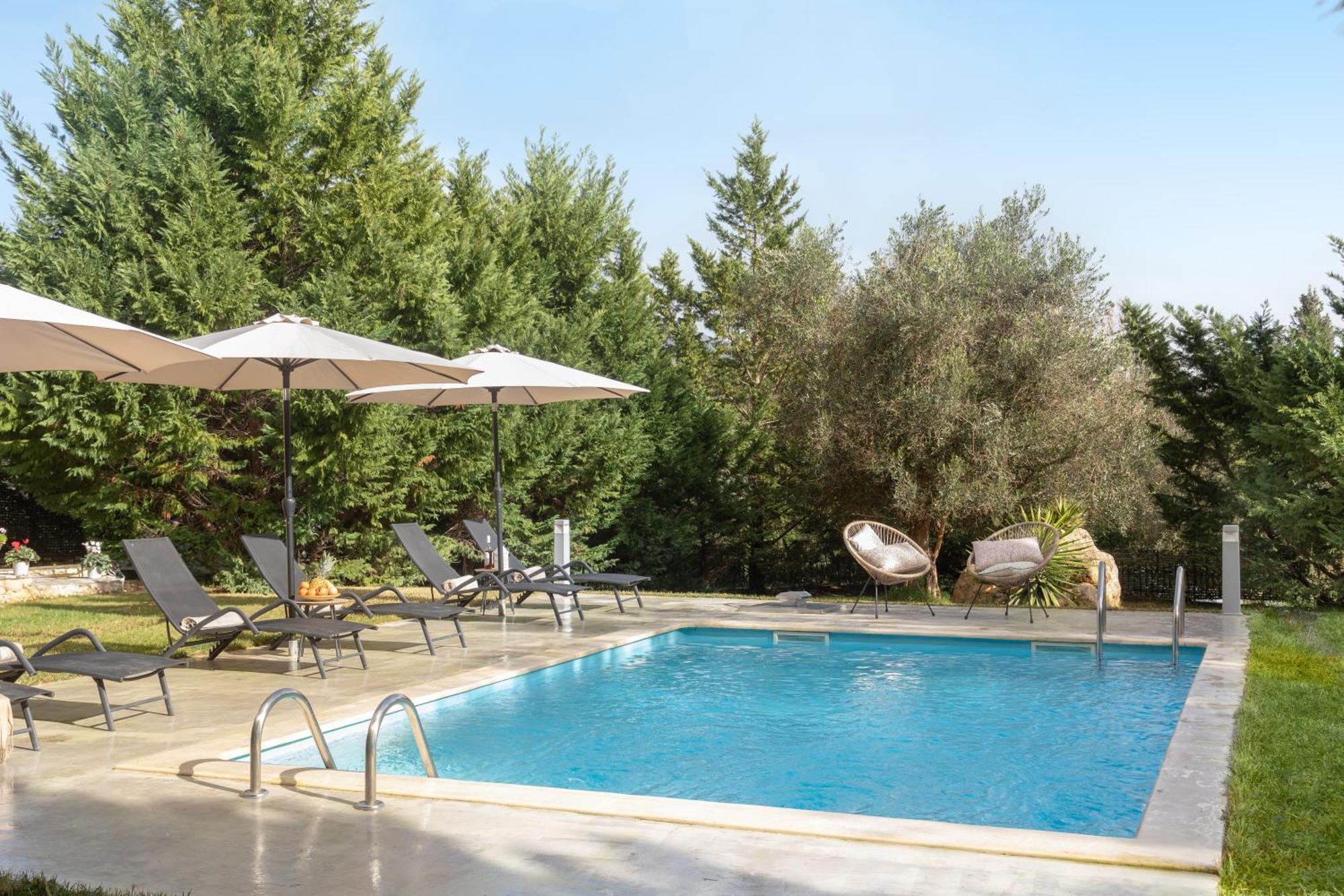 Eleonas Luxury Homes Gardeládes エクステリア 写真